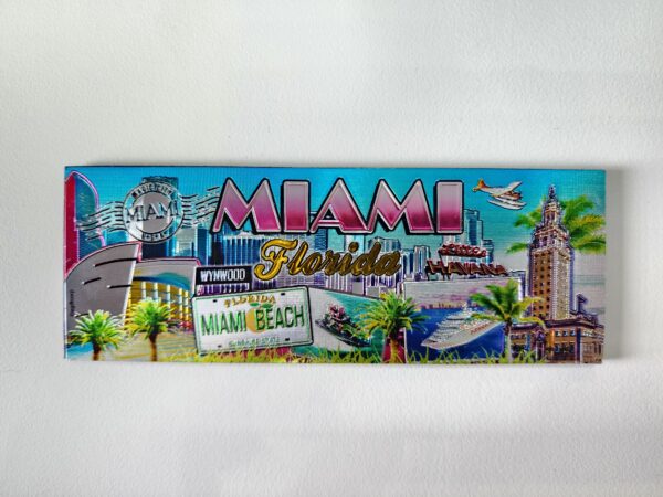 MIAMI MAGNET / MAGIC-CITY